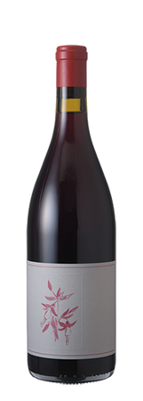 Arnot Roberts Gamay Noir El Dorado 2023