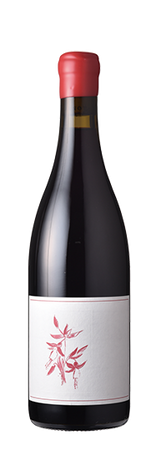 Arnot-Roberts Pinot Noir Fox Creek Carmel Valley 2022 2023 , 2022