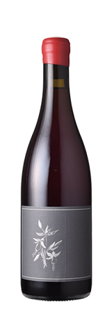 Arnot-Roberts Trousseau North Coast 2023