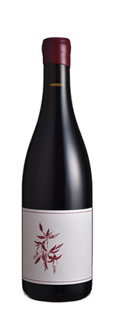 Arnot-Roberts Syrah Que Syrah Vineyard Sonoma Coast 2022 2023 , 2022