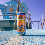 San Diego Explorer: Pizza Port Craft beer 3-pack