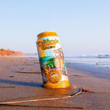 San Diego Explorer: Pizza Port Craft beer 3-pack