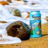 San Diego Explorer: Pizza Port Craft beer 3-pack