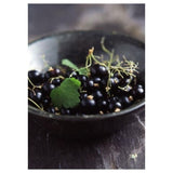 ディストリクトワン カベルネソーヴィニヨン / District One Cabernet Sauvignon 2021