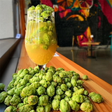 クラフトビールの聖地サンディエゴ ホップ IPA