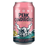 Beat the cold! Winter craft beer 5-bottle set #1