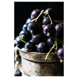 スカーレット エステート カベルネソーヴィニヨン / Scarlett Estate Cabernet Sauvignon 2018