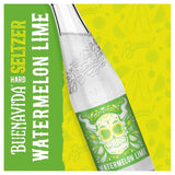 Stone Buenavida Seltzer Watermelon Lime /  ストーン ブエナヴィダ セルツァー ウォーターメロン ライム