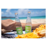 Stone Buenavida Seltzer Watermelon Lime /  ストーン ブエナヴィダ セルツァー ウォーターメロン ライム