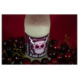 Stone Buenavida Seltzer / ストーン ブエナヴィダ セルツァー 12本セット !!