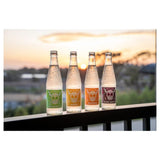 Stone Buenavida Seltzer Watermelon Lime /  ストーン ブエナヴィダ セルツァー ウォーターメロン ライム