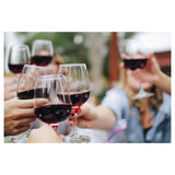 レジオ マルベック / Regio Malbec 2018