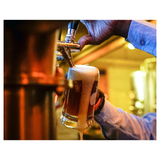 Smog City Amarilla Gorilla / Smog City Amarilla Gorilla IPA 5 bottles set! !