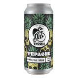 A set of 5 craft beers from San Diego, a treasure trove of local beer! / San Diego Craft Beer Set