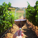 ジャスティフィケーション ジャスティン ワイナリー ヴィンヤード justification justin winery vineyards ワイングラス 赤ワイン