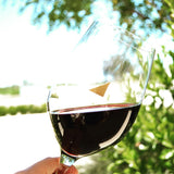 ジャスティフィケーション ジャスティン ワイナリー ヴィンヤード justification justin winery vineyards