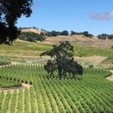 Justification / JUSTIFICATION 2016