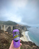 Karl Strauss Aurora Hoppyalis