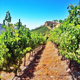 Malibu Rocky Oaks マリブ ロッキー オークス エステート ヴィンヤード シャルドネ Chardonnay white wine  白 ワイン バチェロレッテ バチェラレット Bachelorette