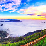 Feelin' Malibu Combo