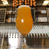 "Mecca" of Craft Beer San Diego IPA Gift Box v2 / "Mecca" of Craft Beer San Diego IPA Gift Box v2