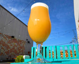 Fruity San Diego Craft Beer 8-Pack