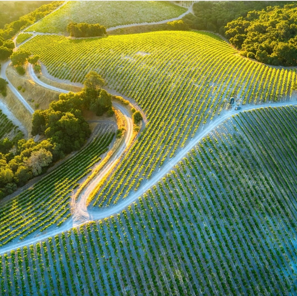 Is Paso Robles the next "trending" wine travel destination?