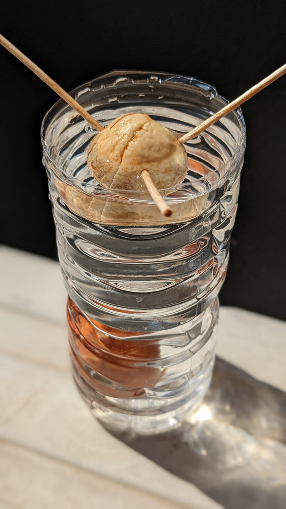 スーパーで買ったアボカドを育てたら2.5m越えた話 ～初心者から中級者まで参考になるアボカド栽培の仕方～