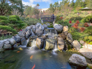 静けさを歩く—サンディエゴ・バルボアパークの日本庭園さんぽ