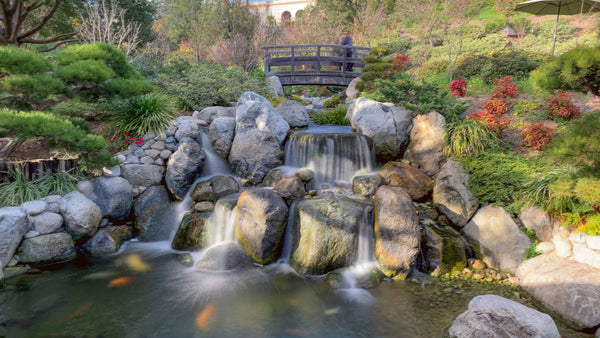 静けさを歩く—サンディエゴ・バルボアパークの日本庭園さんぽ