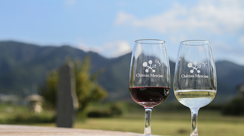 Sip and Explore: Wine Tasting in Japan