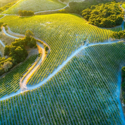 パソロブレス Paso Robles パソローブルス パソローブレス 