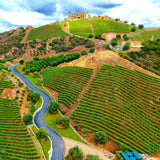 Malibu Rocky Oaks Chardonnay 2018