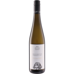 Weingut Mayer Am Pfarrplatz Gruner Veltliner Beethoven No.9 2023