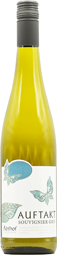 Abthof Auftakt Souvignier Gris 2024