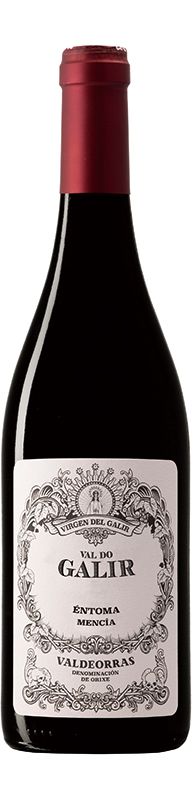 VAL DO GALIR Mencia 2023