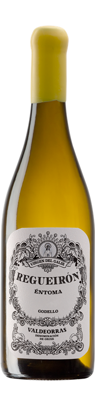REGUEIRON GODELLO 2024