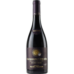 Domaine Michel Magnien Bourgogne Cote d'Or Pinot Noir 2021