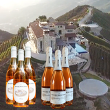 Bachelorette Party Rosé / Sparkling Rosé Wine 6 Bottles Set