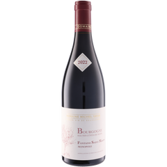 Domaine Michel Gros Bourgogne Hautes Cotes De Nuits Rouge Fontaine St Martin 2022