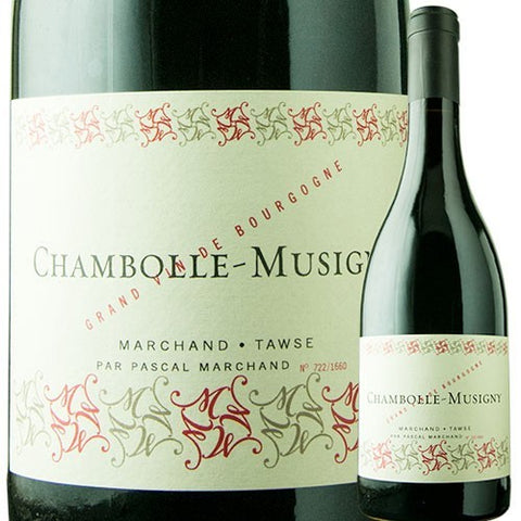 Marchand Toews Chambolle Musigny 2020