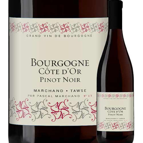 Marchand Toews Bourgogne Cote D39Or Pinot Noir 2020