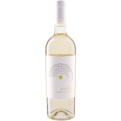 Cantina E Oleificio Sociale Domodo Chardonnay 2025
