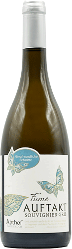 Abthof Auftakt Souvignier Gris 2023