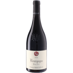 Domaine Michel Noellat Bourgogne Rouge 2022