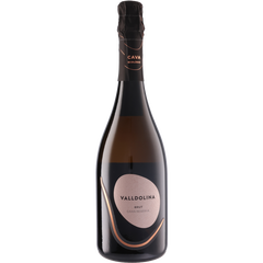 Valldolina Valldolina Cava Brut Gran Reserva 2020