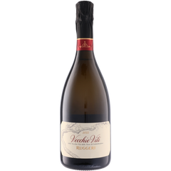 Ruggeri & C. S.P.A. Vecchie Viti Valdobbiadene Prosecco Superiore Brut 2022