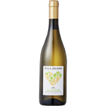 Santero F.Lli &amp; CSPA Villa Jolanda Moscato D'Asti 2023