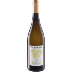 Santero F.Lli & C. S.P.A. Villa Jolanda Moscato D'Asti 2024