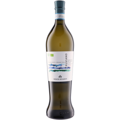 Tenute Pieralisi S.R.L. Soc. Agr Monte Schiavo Ruviano Anfora 2024